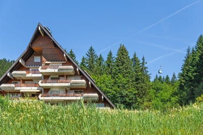 /international/ch/la-barboleuse-gryon-vaud-310100906016/