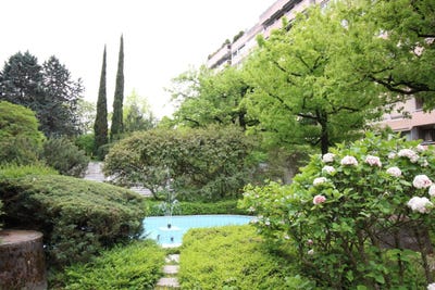 /international/ch/florissant-62-geneve-geneva-310102341815/