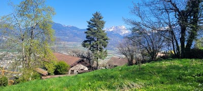 /international/ch/choex-monthey-valais-310102848066/