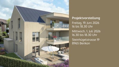 /international/ch/steinhugelstrasse-19-berikon-aargau-310107560323/