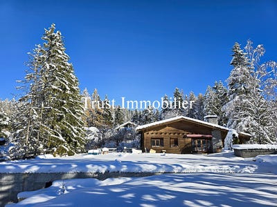 /international/ch/crans-montana-secteur-trionna-lens-valais-310108082042/