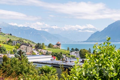 /international/ch/lutry-lutry-vaud-310101277184/?lang=zh-cn