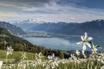 /international/ch/territet-vaud-310105430733/