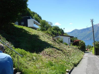 /international/ch/gerra-gerra-gambarogno-ticino-310100932931/?lang=zh-tw