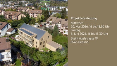/international/ch/steinhugelstrasse-19-berikon-aargau-310107560878/