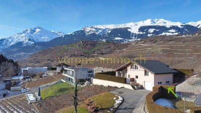 /international/ch/saviese-valais-310109074342/?lang=it