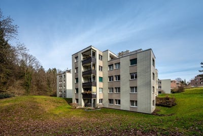 /international/ch/in-der-au-30-meilen-zurich-310101227079/?lang=en