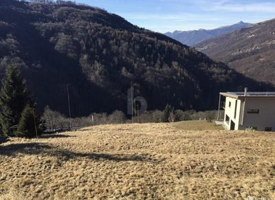 /international/ch/su-richiesta-certara-ticino-310101017638/?lang=zh-tw