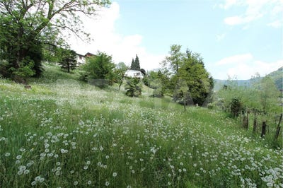 /international/ch/ponte-cremenaga-ponte-cremenaga-ticino-310099421964/