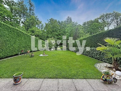 /international/ch/versoix-geneva-310108046521/