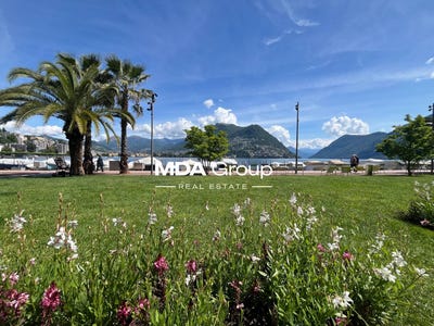 /international/ch/via-riva-paradiso-16-paradiso-ticino-310108510686/