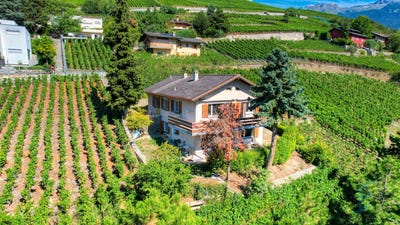 /international/ch/route-des-corles-20-sierre-valais-310102723974/