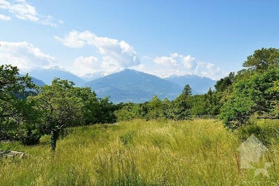 /international/ch/saxonne-ayent-valais-310106410956/