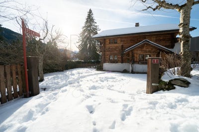 /international/ch/chemin-de-saussouye-gryon-vaud-310105648666/