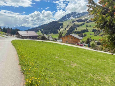 /international/ch/au-cartier-les-mosses-vaud-310104916183/