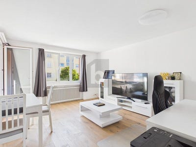 /international/ch/mellingen-aargau-310108938633/