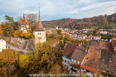 /international/ch/moudon-vaud-310103993915/
