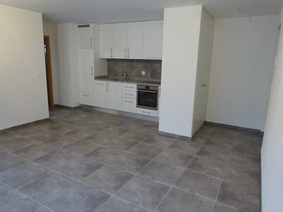 /international/ch/3b-rue-des-epetys-ardon-valais-310107322060/