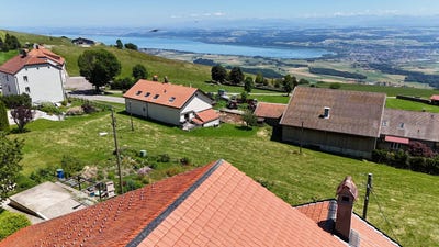 /international/ch/bullet-vaud-310101129422/