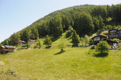 /international/ch/iserables-valais-310108318515/