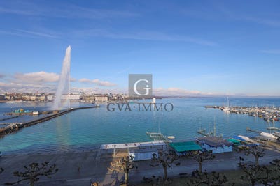 /international/ch/geneve-geneva-310105247339/