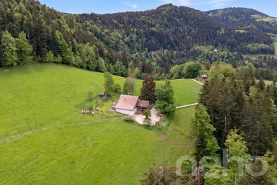 /international/ch/le-locle-le-locle-canton-of-neuchatel-310108481178/