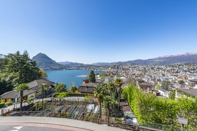 /international/ch/ruvigliana-ruvigliana-ticino-310100903858/