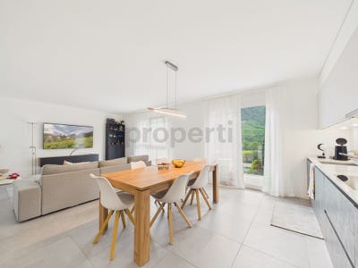 /international/ch/bellinzona-ticino-310108270484/