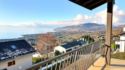 /international/ch/chernex-chernex-vaud-310108082110/