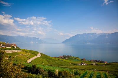 /international/ch/thonex-geneva-310100536782/?lang=it