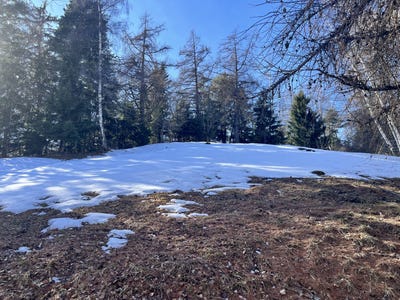 /international/ch/mayens-de-chamoson-valais-310105810557/