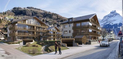 /international/ch/steinacher-2-engelberg-canton-of-obwalden-310109146822/