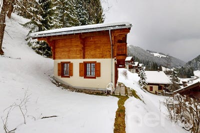/international/ch/morgins-morgins-valais-310107360665/