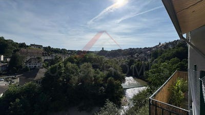 /international/ch/fribourg-canton-of-fribourg-310101227779/