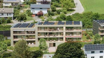 /international/ch/gemsacker-bockten-basel-landschaft-310104169494/