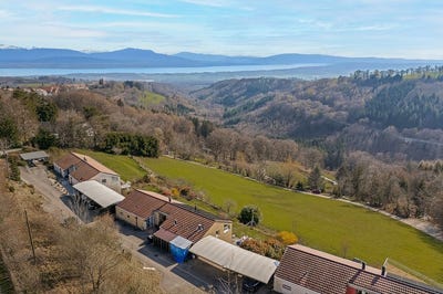 /international/ch/bassins-vaud-310108454832/
