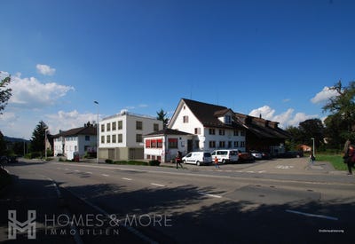 /international/ch/horgen-zurich-310105205654/