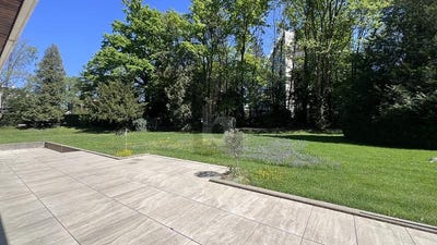 /international/ch/rue-de-chene-bougeries-chene-bougeries-geneva-310108156869/