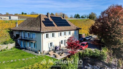 /international/ch/lavigny-vaud-310108456449/