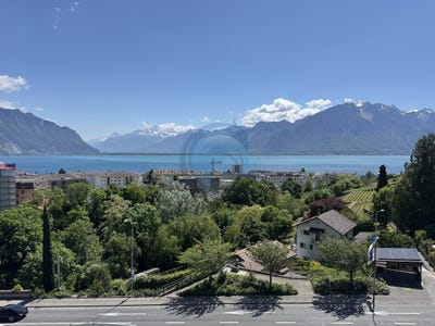 /international/ch/chemin-du-crepon-4-clarens-vaud-310105243877/