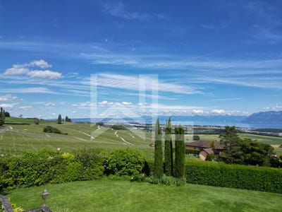/international/ch/chemin-des-cassivettes-fechy-vaud-310108482690/?lang=de