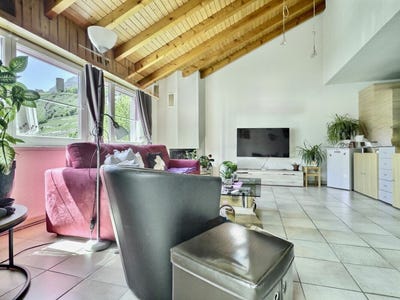 /international/ch/saillon-valais-310107579463/