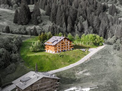 /international/ch/domaine-de-la-residence-haut-chesieres-vaud-310101274581/?lang=en