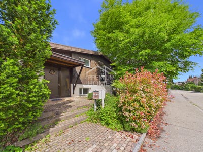 /international/ch/zofingen-aargau-310109146663/