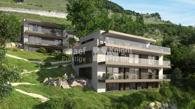/international/ch/vaud-corseaux-vaud-310107467481/