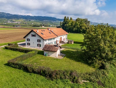 /international/ch/gilly-vaud-310106738345/
