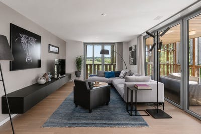 /international/ch/kanton-zurich-zurich-310108830486/