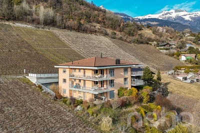 /international/ch/venthone-venthone-valais-310100491439/?lang=zh-cn
