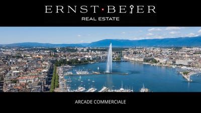 /international/ch/geneva-geneve-geneva-310100858805/