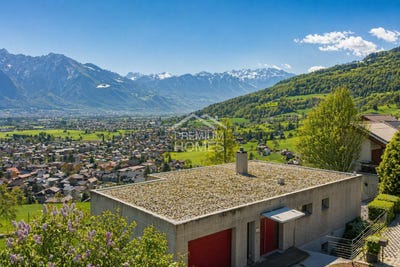 /international/ch/grabs-st-gallen-310107579081/